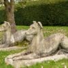 pair of cast stone garden hounds