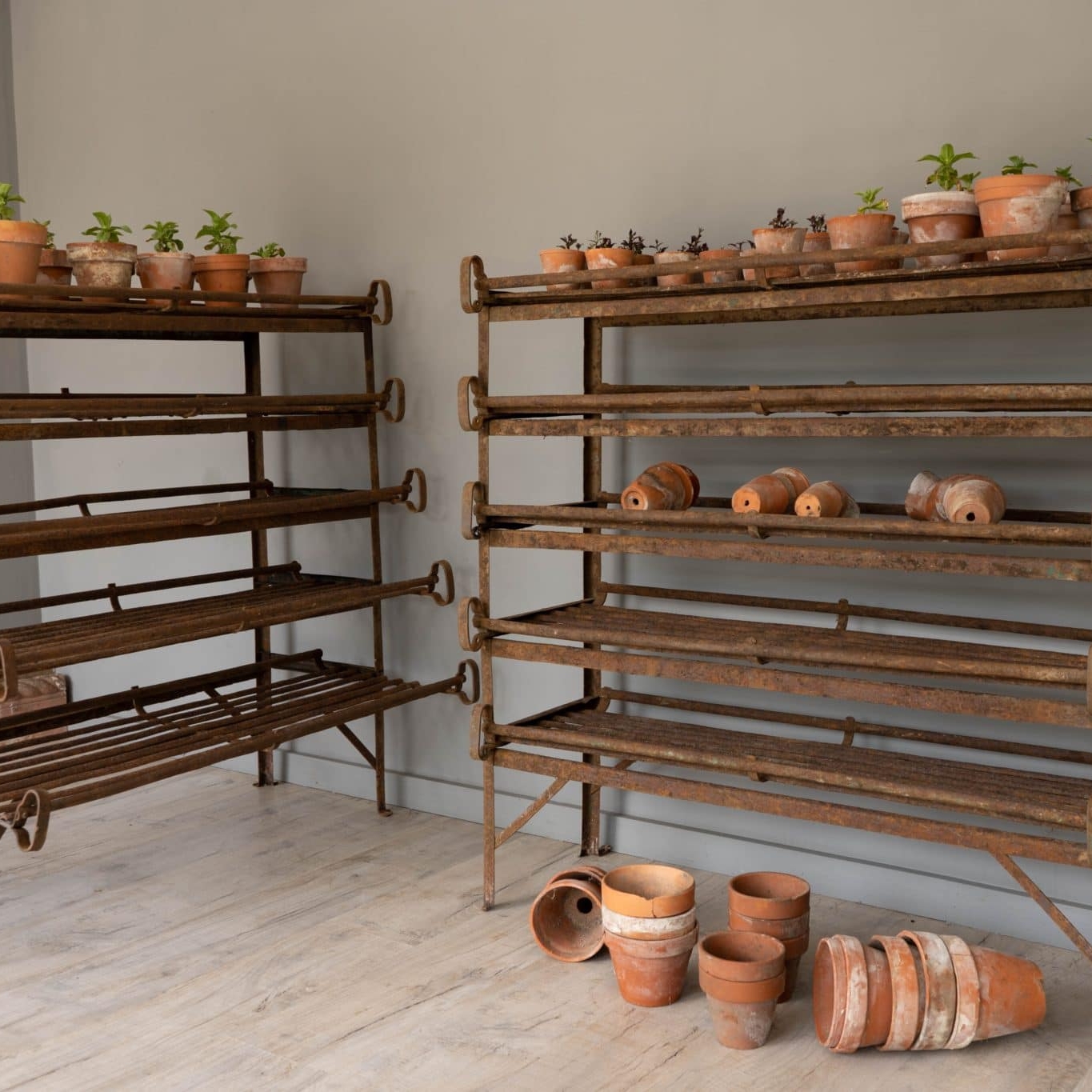 vintage wrought iron greenhouse shelving