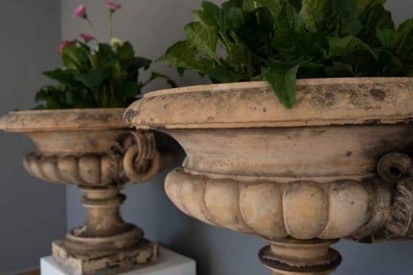 pair of antique urns for the garden
