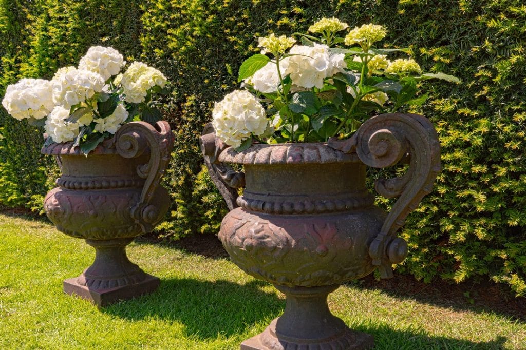 A pair of antique Cast Iron French Garden Urns - DGA by Tina Bird