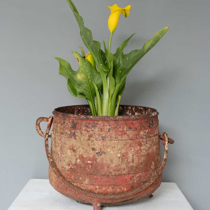 a cast iron antique pot