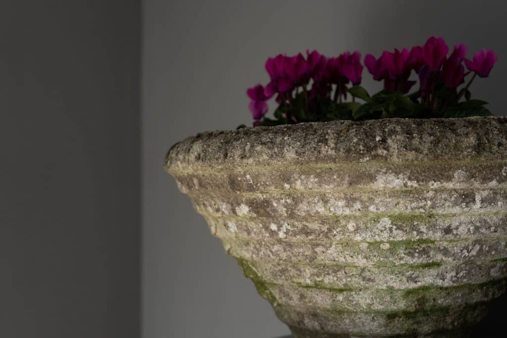 Set of Four Conical Vintage Planters DGA by Tina Bird