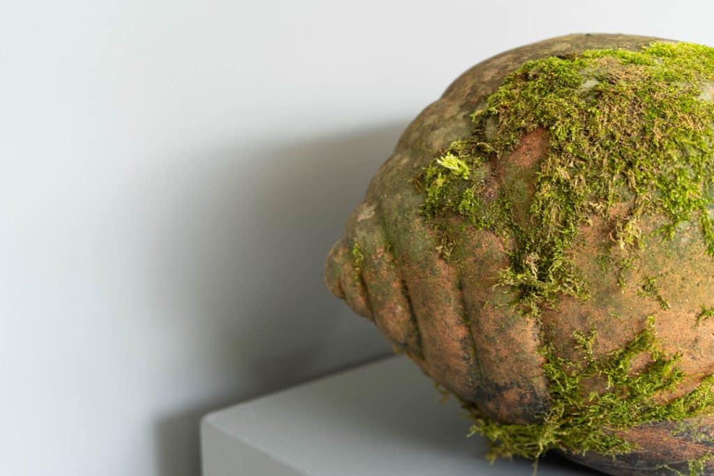 Vintage Terracotta Garden Snail Shell Planter DGA by Tina Bird