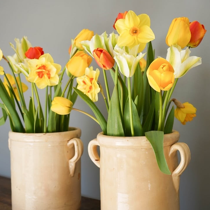 cream terracotta antique vases and pots