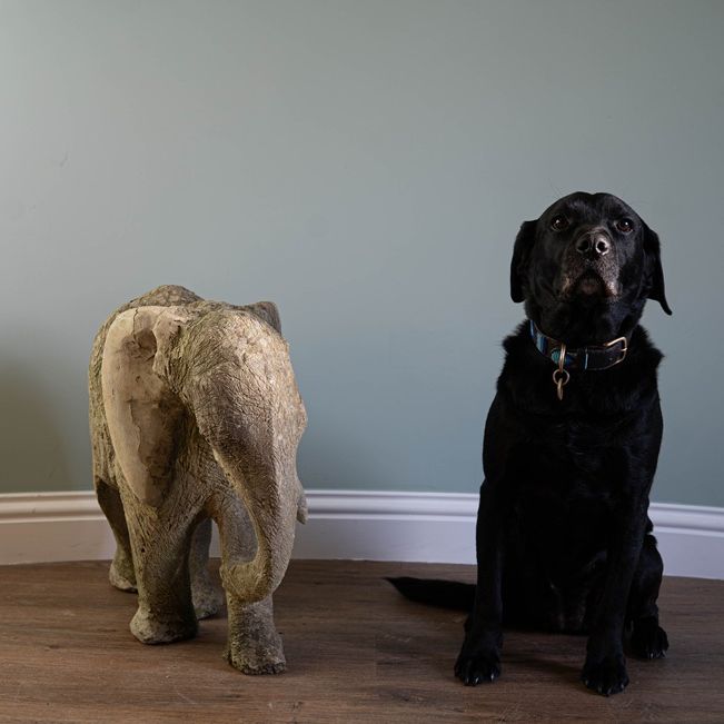 a decorative antique garden stone ornamental elephant