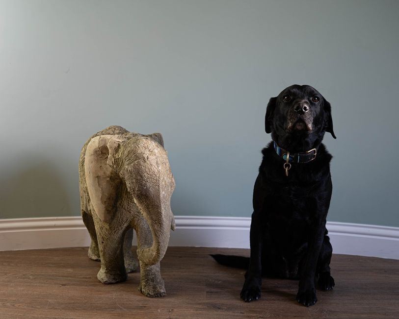 a decorative antique garden stone ornamental elephant