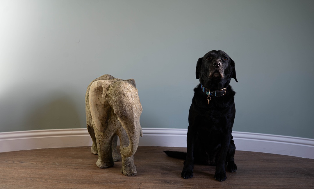 a decorative antique garden stone ornamental elephant
