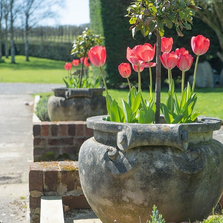 compton pottery for the garden