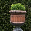 a deep coloured terracotta pair of antique garden urns