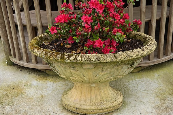 antique garden oval planter