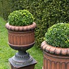 antique terracotta pair of garden urns for sale