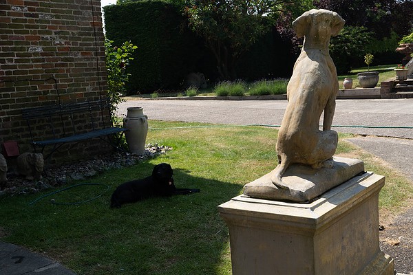 garden statue dogs for sale