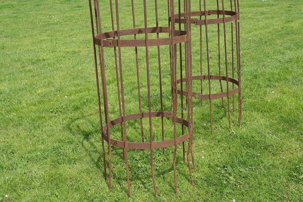 Wrought Iron Tree Guards DGA by Tina Bird