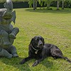 large bronze decorative garden elephant
