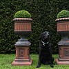 pair of Scottish antique garden urnspair of Scottish antique garden urns