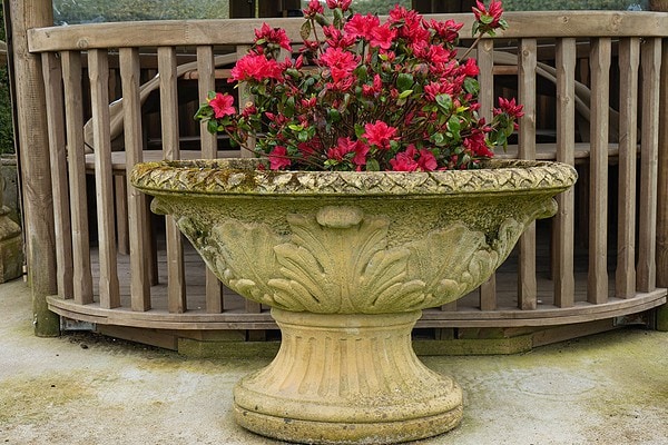 terracotta style antique planter