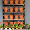 Antique Sankey Bulwell terracotta pots for sale
