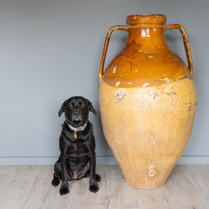 antique olive jar yellow glazed terracotta