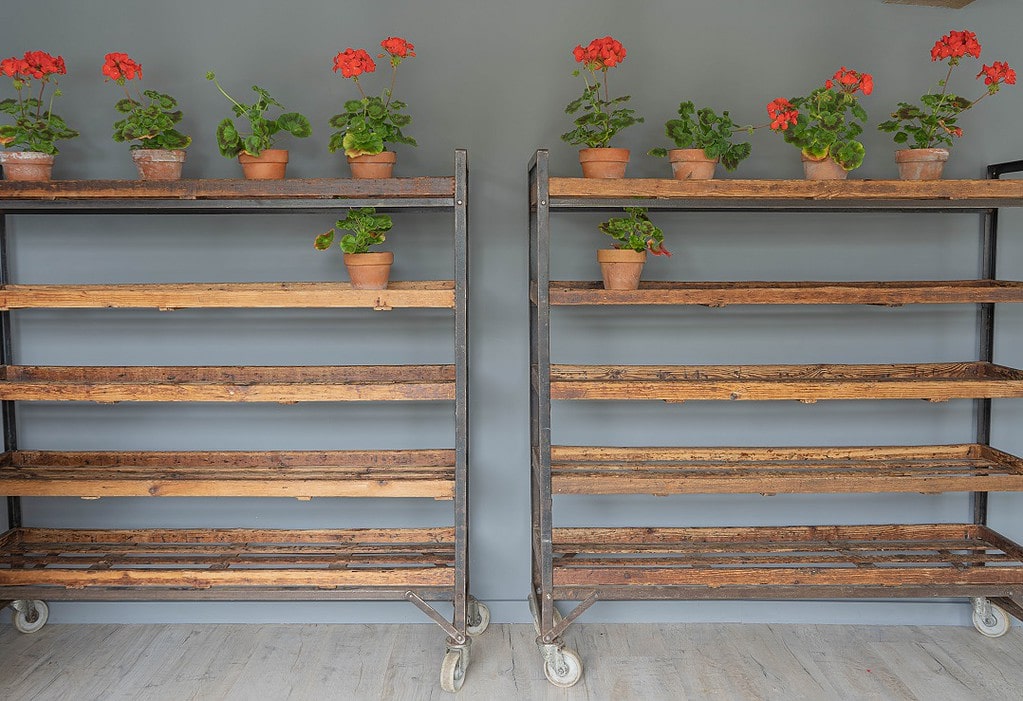 Pair of Vintage Racks on wheels - DGA by Tina Bird