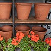 garden terracotta pots from Sankey Bulwell