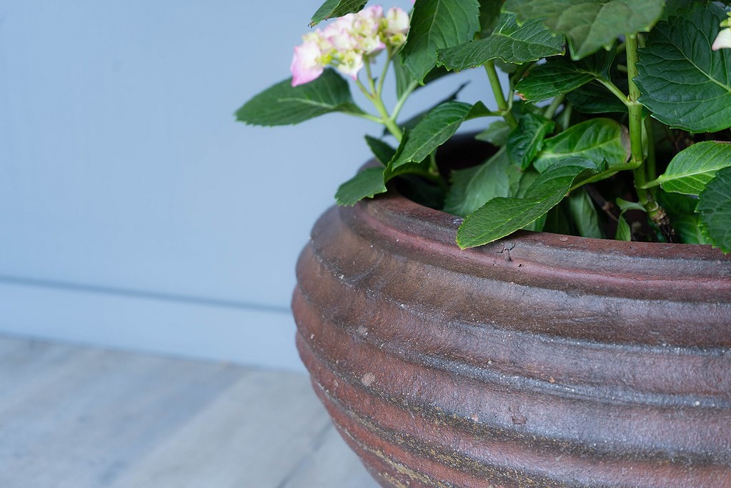 A pair of reeded garden planters DGA by Tina Bird