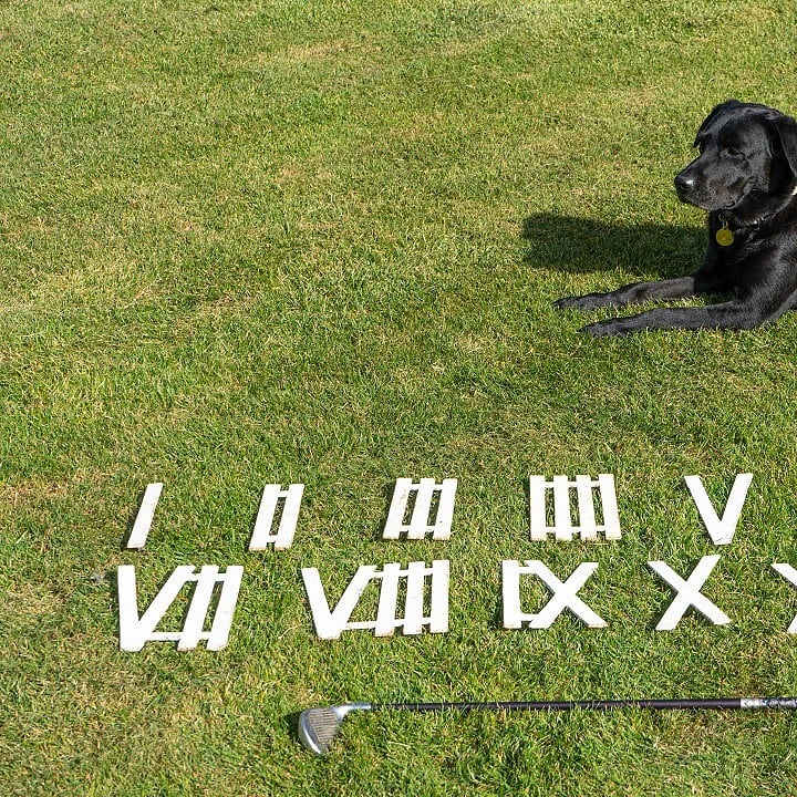 roman numerals golf marker set for sale