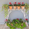 an antique garden decorative wirework plantstand