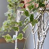 conservatory antique decorative wirework plantstand