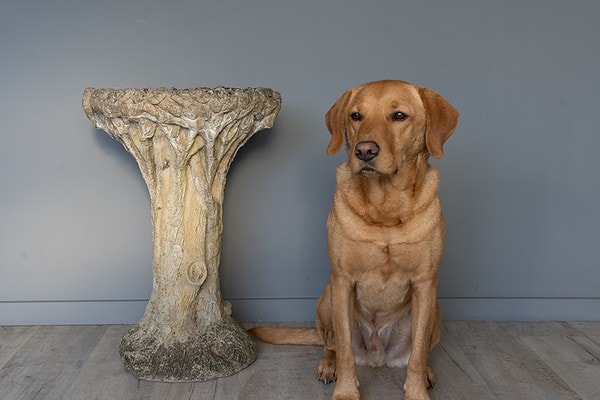 stone garden bird bath