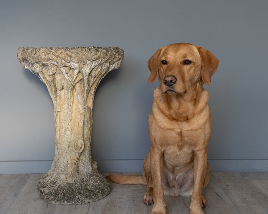 stone garden bird bath