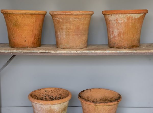 Five 16 inch Large Scale Vintage Terracotta Plants Pots - Image 10