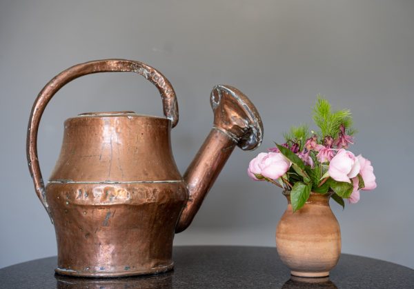 a garden antique watering can