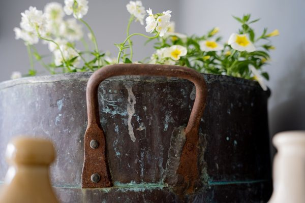 an antique copper plant pot