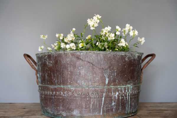 antique garden copper planter