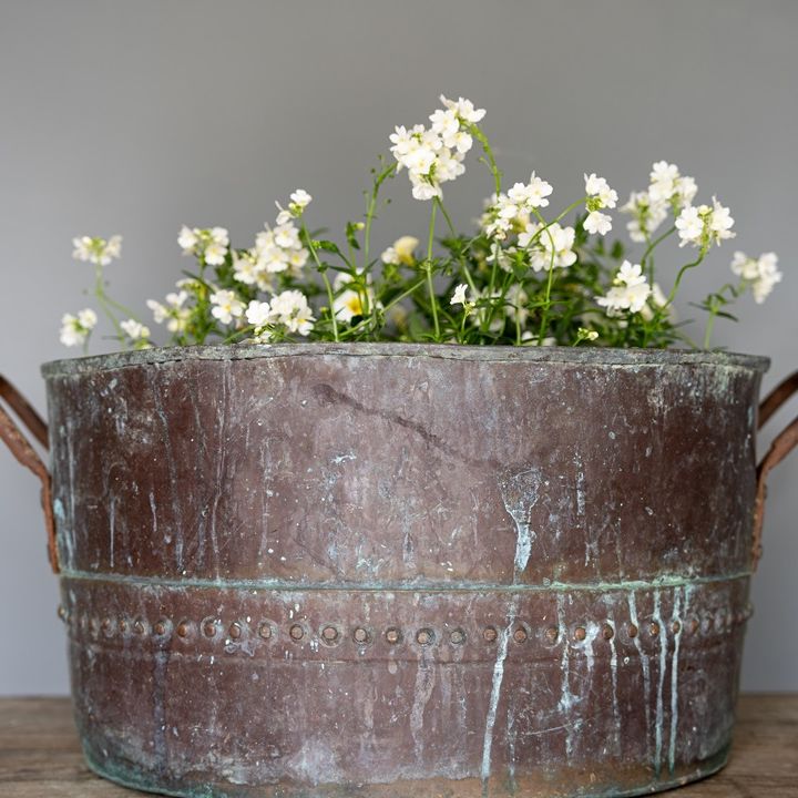 antique garden copper planter