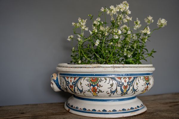 decorative antique earthenware planter or jardiniere for the home