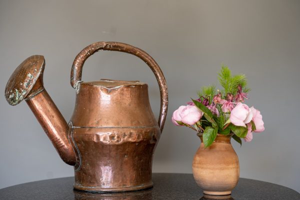 garden antique watering can