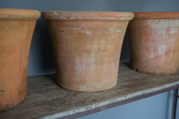 large big tom antique terracotta plant pots