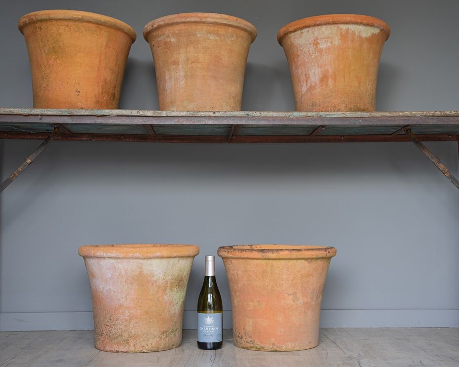 large terracotta reclaimed pots