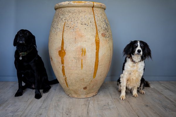 an antique terracotta yellow glazed French vase for sale