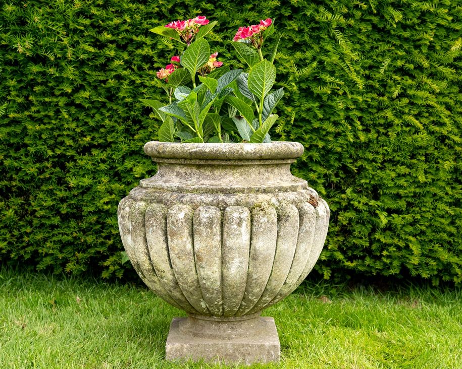 antique garden urn