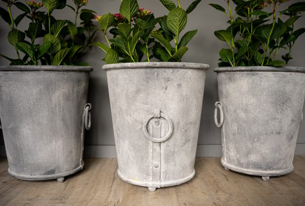 decorative garden galvanised pots for sale
