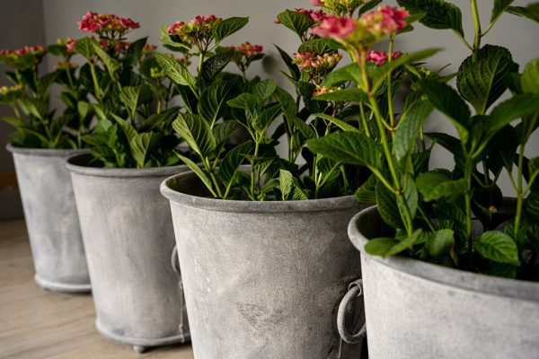 good quality galvanised garden planters for sale