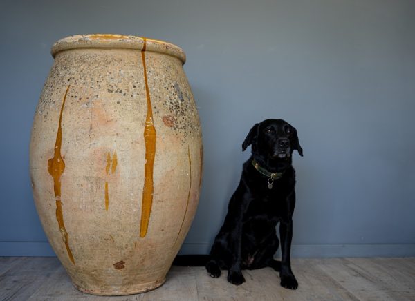 indoor or outdoor terracotta yellow glazed French vase