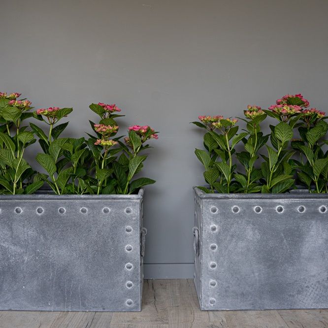 pair of vintage effect galvanised garden plant pots