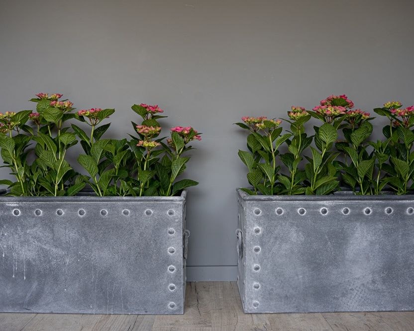 pair of vintage effect galvanised garden plant pots
