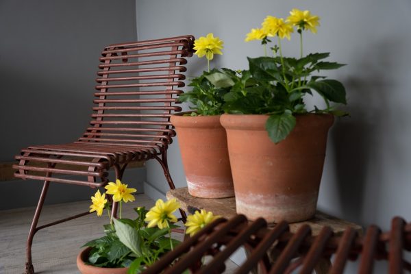 Antique Arras garden chairs made from wrought iron