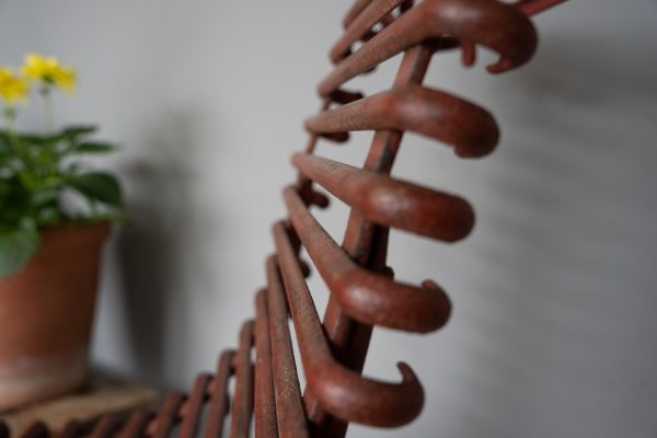 Antique refubished garden Arras dining chairs