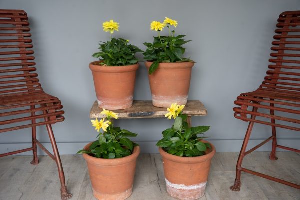 Darlaston pots