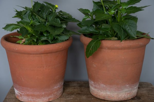 Set of Four Darlaston Garden Terracotta Victorian Pots - Image 9